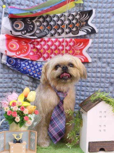 20230528ムーくん